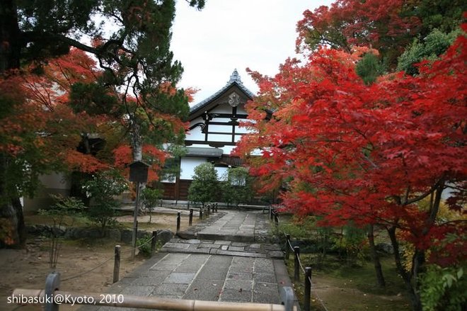 20101118_Kyoto-176_松巖寺(天龍寺塔頭)_1.JPG