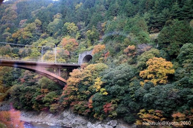20101118_Kyoto-10_嵐山觀光小火車_1.JPG