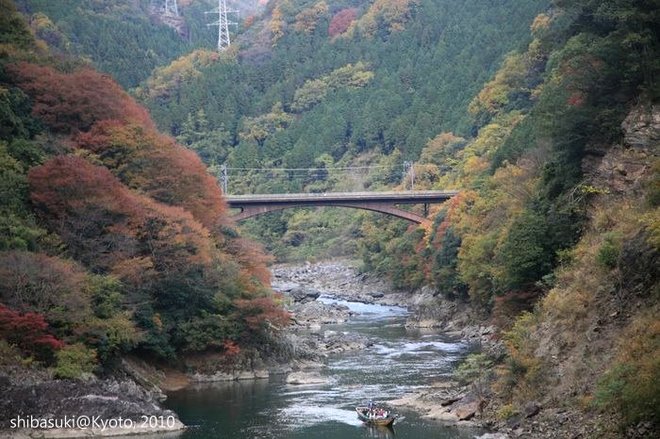 20101118_Kyoto-15_嵐山觀光小火車_1.JPG