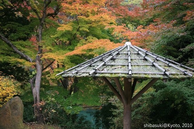 20101118_Kyoto-130_龜山公園_1.JPG