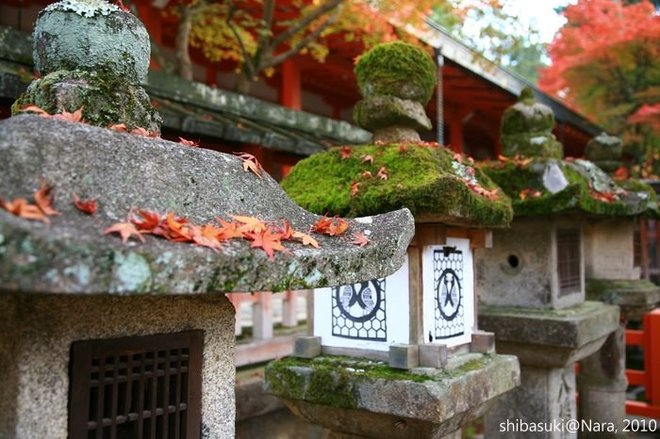 20101120_Nara-88_手向山八幡宮_1.JPG
