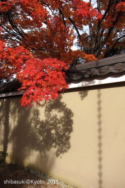 20111129_Kyoto-8_源光庵_1.JPG