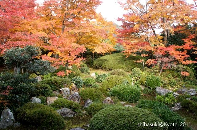 20111129_Kyoto-27_源光庵_1.JPG