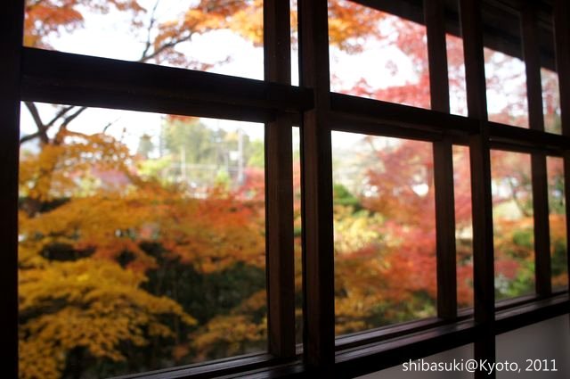 20111129_Kyoto-57_源光庵_1.JPG