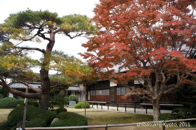 20111129_Kyoto-71_源光庵_1.JPG