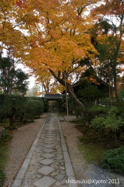 20111129_Kyoto-72_源光庵_1.JPG