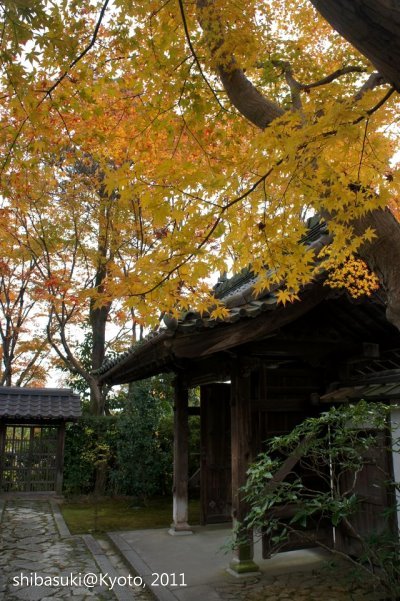 20111129_Kyoto-73_源光庵_1.JPG