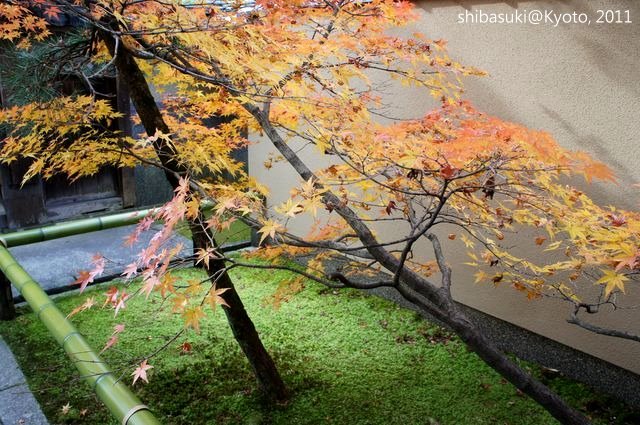 20111129_Kyoto-91_光悅寺_1.JPG
