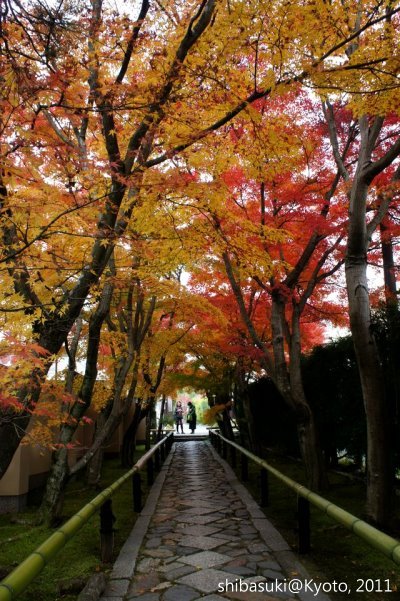 20111129_Kyoto-97_光悅寺_1.JPG