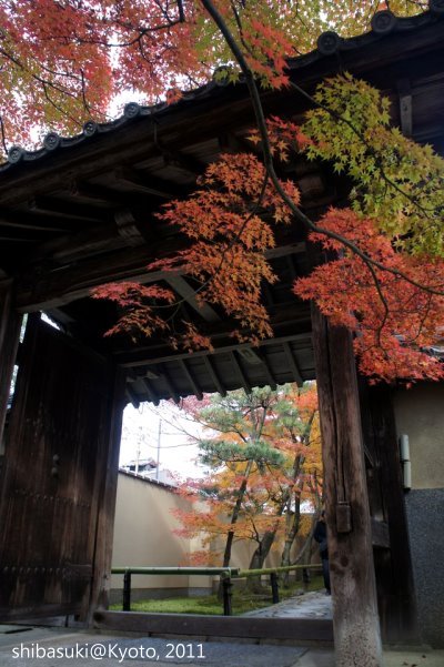 20111129_Kyoto-106_光悅寺_1.JPG