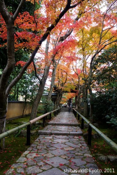 20111129_Kyoto-112_光悅寺_1.JPG