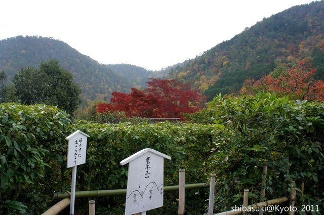 20111129_Kyoto-116_光悅寺_1.JPG