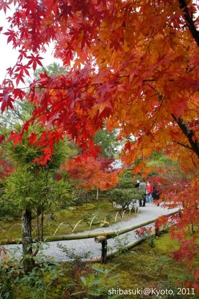 20111129_Kyoto-118_光悅寺_1.JPG