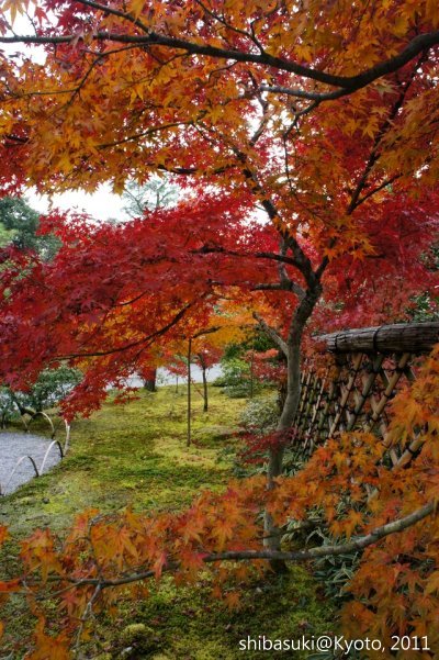 20111129_Kyoto-121_光悅寺_1.JPG