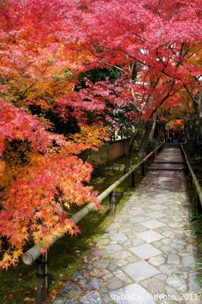 20111129_Kyoto-129_光悅寺_1.JPG
