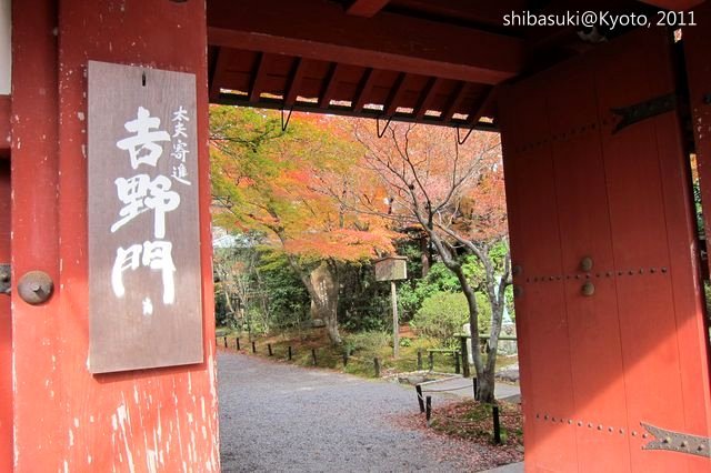 20111129_Kyoto-146_常照寺_1.JPG