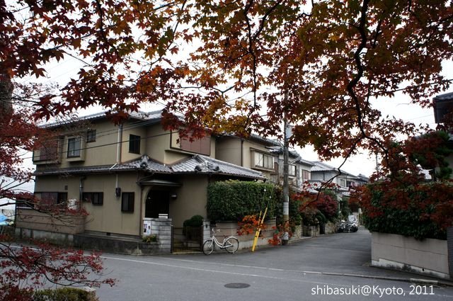 20111129_Kyoto-147_常照寺_1.JPG