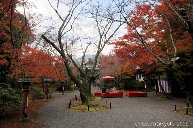 20111129_Kyoto-150_常照寺_1.JPG