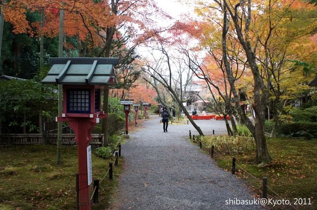 20111129_Kyoto-160_常照寺_1.JPG