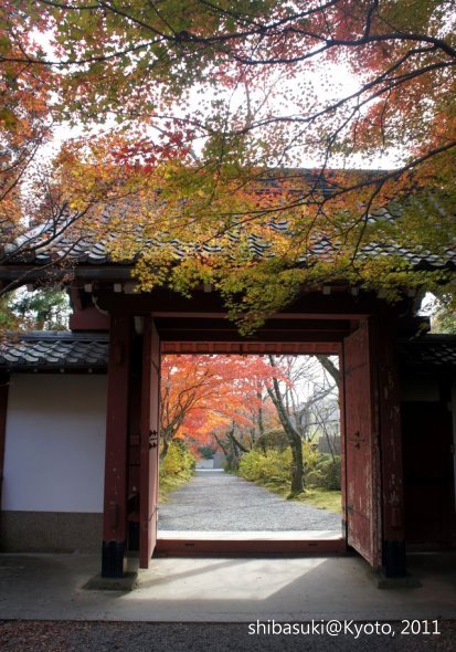 20111129_Kyoto-167_常照寺_1.JPG