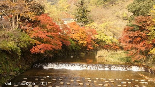 20111130_Kyoto-5_八瀨_1.JPG