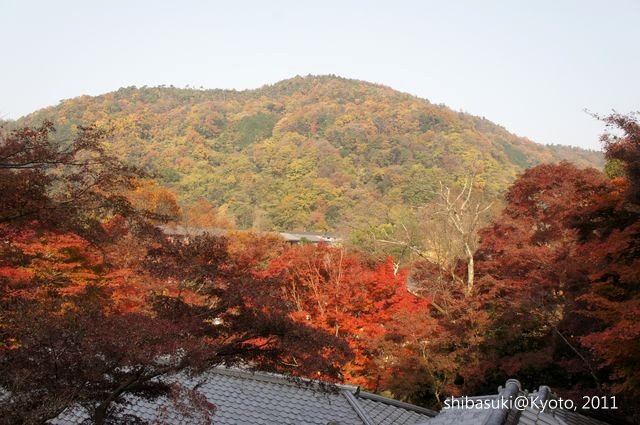 20111130_Kyoto-12_八瀨琉璃光院_1.JPG