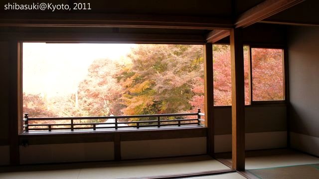 20111130_Kyoto-15_八瀨琉璃光院_1.JPG