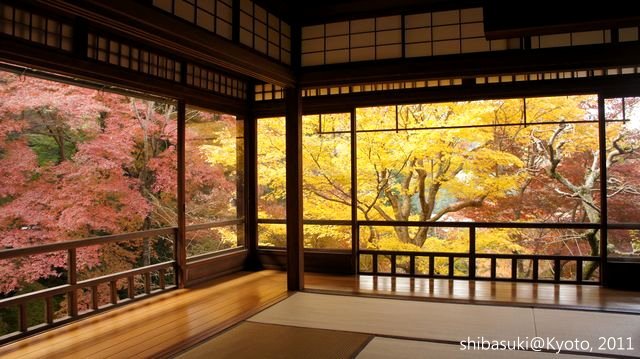 20111130_Kyoto-22_八瀨琉璃光院_1.JPG