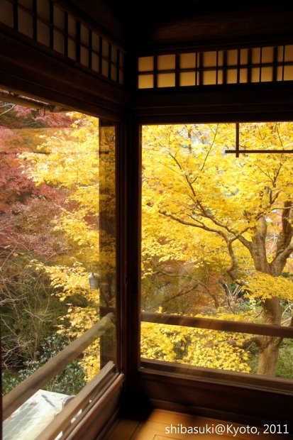 20111130_Kyoto-31_八瀨琉璃光院_1.JPG