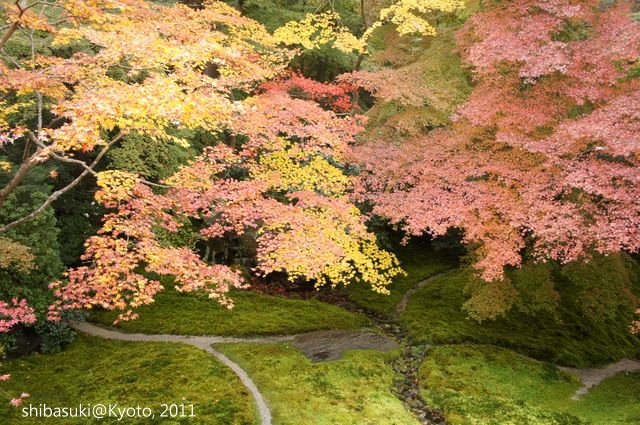 20111130_Kyoto-32_八瀨琉璃光院_1.JPG