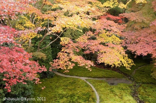 20111130_Kyoto-33_八瀨琉璃光院_1.JPG