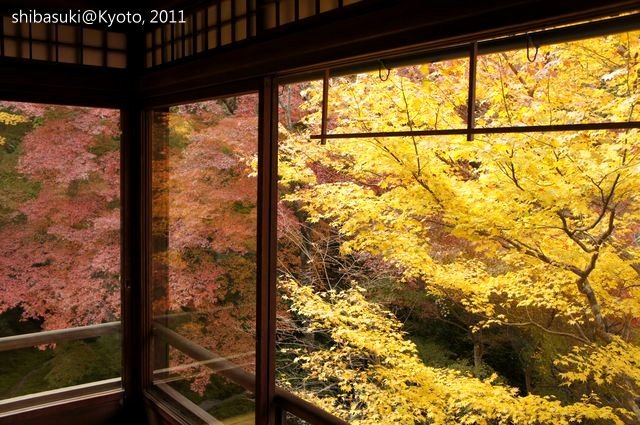 20111130_Kyoto-35_八瀨琉璃光院_1.JPG