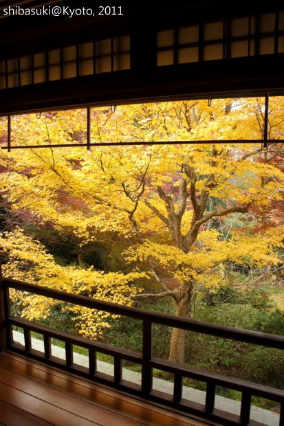 20111130_Kyoto-39_八瀨琉璃光院_1.JPG