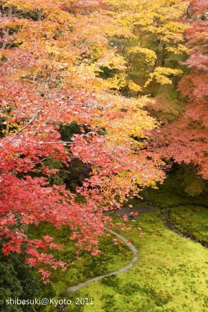 20111130_Kyoto-52_八瀨琉璃光院_1.JPG