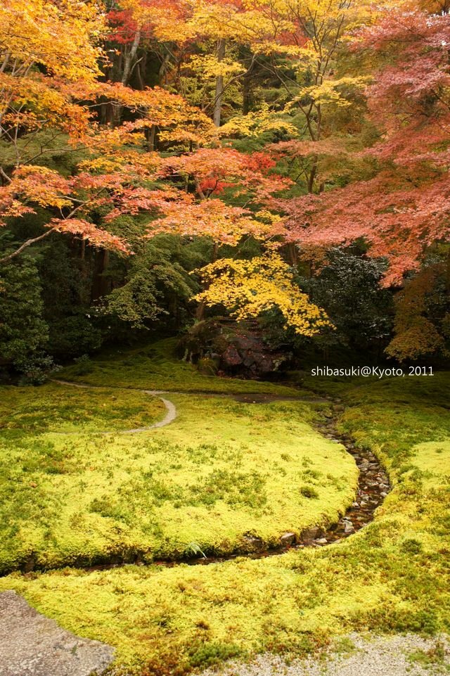 20111130_Kyoto-56_八瀨琉璃光院_1.JPG