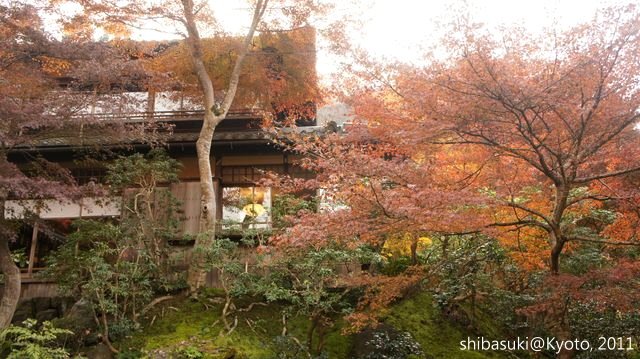 20111130_Kyoto-62_八瀨琉璃光院_1.JPG