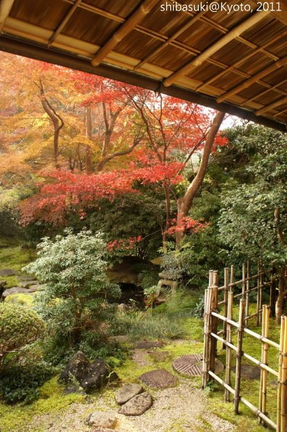 20111130_Kyoto-65_八瀨琉璃光院_1.JPG