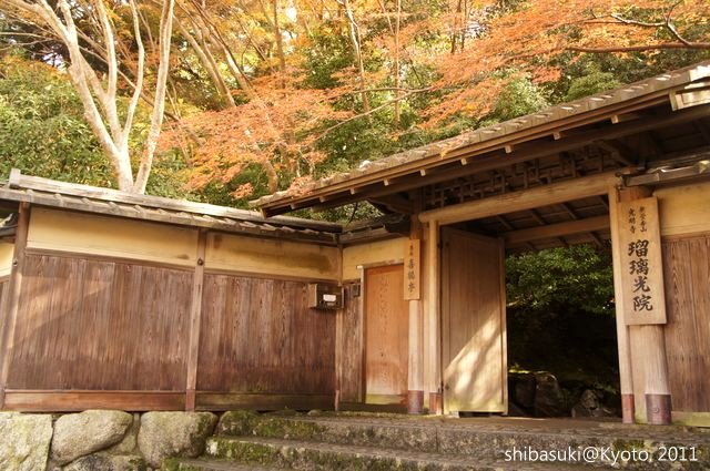 20111130_Kyoto-81_八瀨琉璃光院_1.JPG