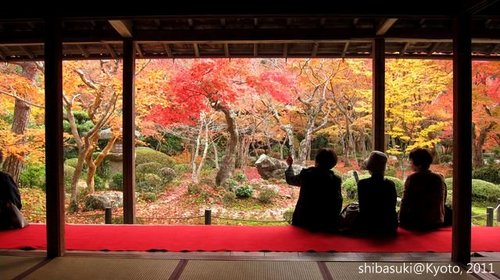 20111130_Kyoto-185_圓光寺_1.JPG