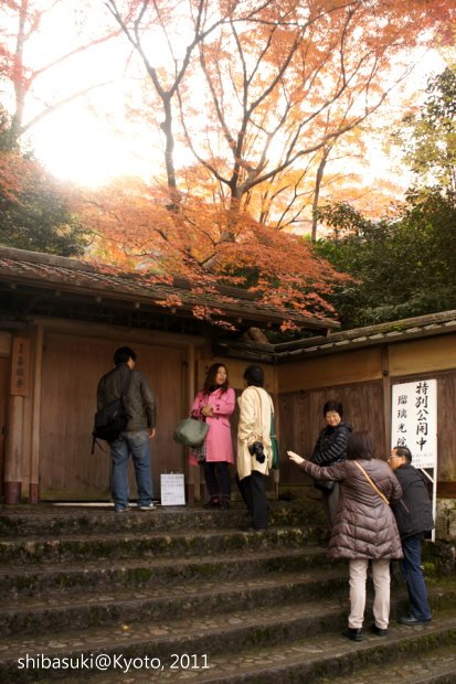 20111130_Kyoto-9_八瀨琉璃光院_1