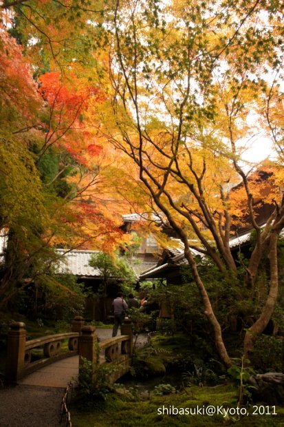 20111130_Kyoto-72_八瀨琉璃光院_1