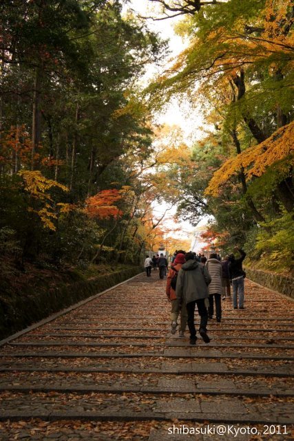 20111204_Kyoto-21_光明寺_1.JPG