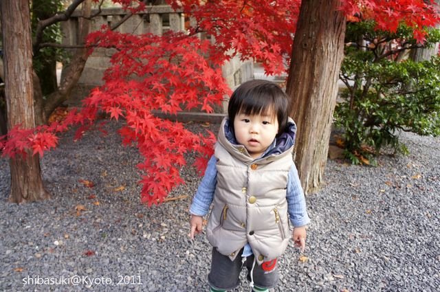 20111204_Kyoto-44_光明寺_1.JPG