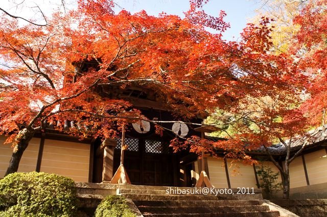 20111204_Kyoto-48_光明寺_1.JPG