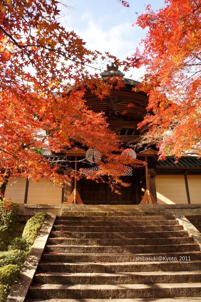 20111204_Kyoto-51_光明寺_1.JPG