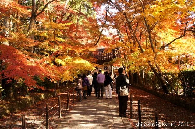 20111204_Kyoto-77_光明寺_1.JPG