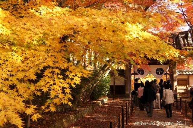 20111204_Kyoto-87_光明寺_1.JPG