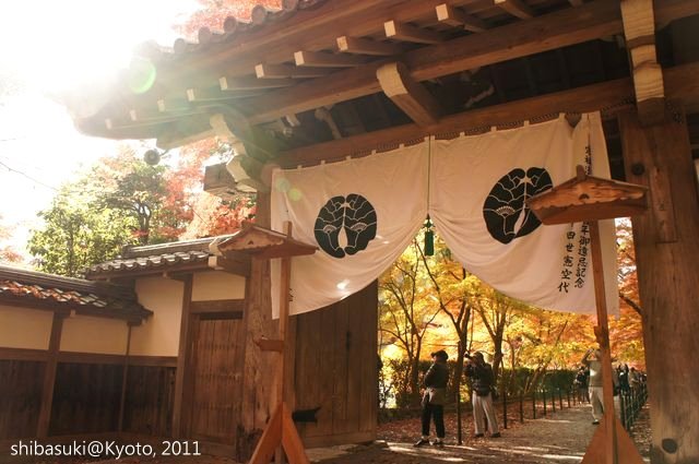 20111204_Kyoto-128_光明寺_1.JPG