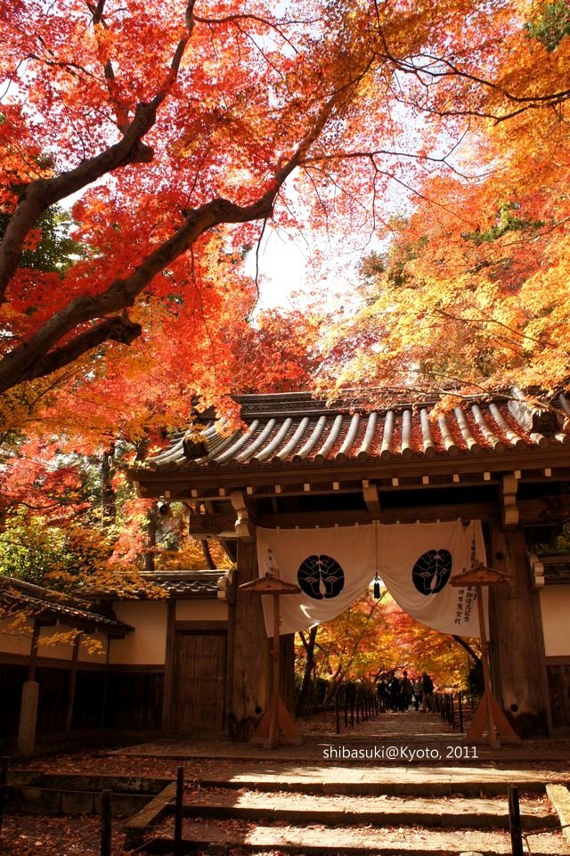 20111204_Kyoto-130_光明寺_1.JPG