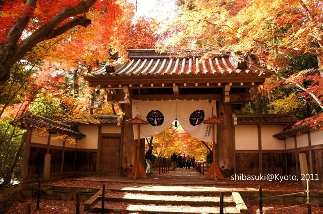 20111204_Kyoto-131_光明寺_1.JPG